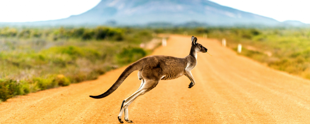 10 Reasons to Visit Australia